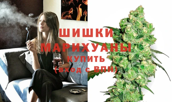 PSILOCYBIN Козловка