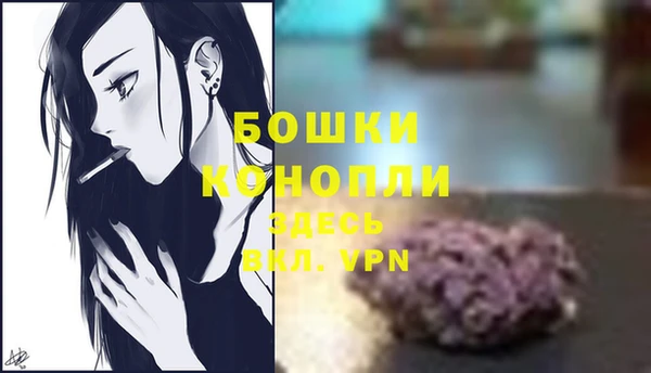 PSILOCYBIN Козловка