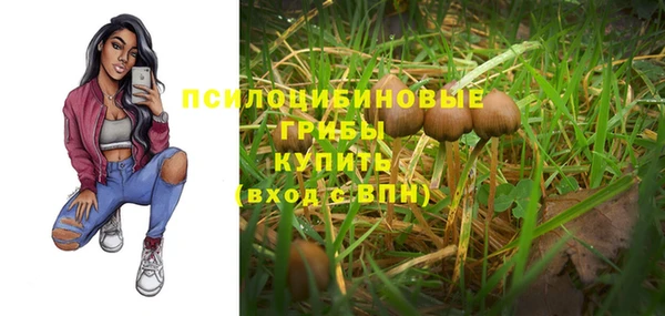 СК Козельск