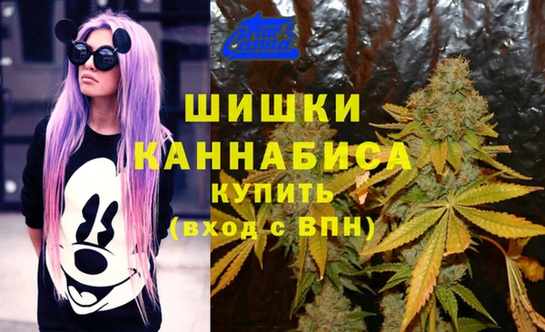 винт Кодинск