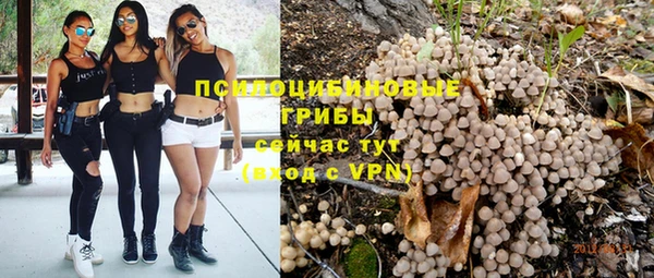 PSILOCYBIN Козловка